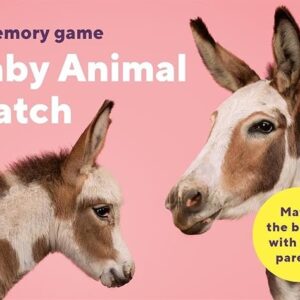 Kids Fun Memory game Baby Animal Match-44 cards 1 Booklet ,perfect Gift For Kids