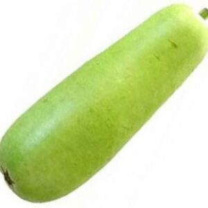 Long dudhi (Bottle gourd) 1 pack