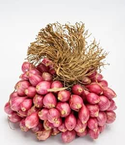 Shallot onion (samabar onion) 250g pack