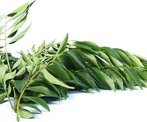Fresh curry leaves 50g pack
