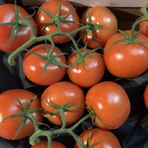 Dutch vine tomato 1 kg