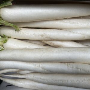 Mooli Long Radish (mullangi) 1 pc