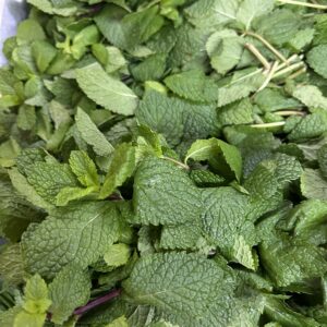 Fresh mint bunch- 1 pack