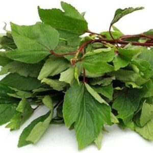 Fresh Gongura leaves (Sorrel leaves) 1 bunch