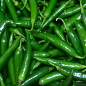 Green chilli 100gms pack