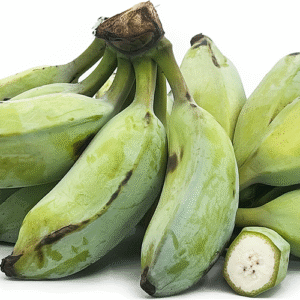 Ash plantain 2pcs medium size