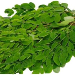Moringa leaves -Small pack - 1/2 portion (125 gms) Drumstick leaves