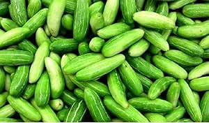 Tindora -ivy gourd (Kovakkai) 250gms pack