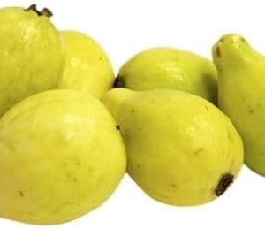 Egyptian Guava medium size (120g to 150g approx)