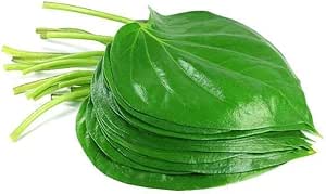 Paan leaf  / Fresh Betel leaves 2 pc