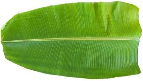 Banana leaf fresh 1 pack