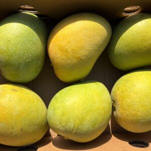 Alphonso indian mango Small box (6pcs)