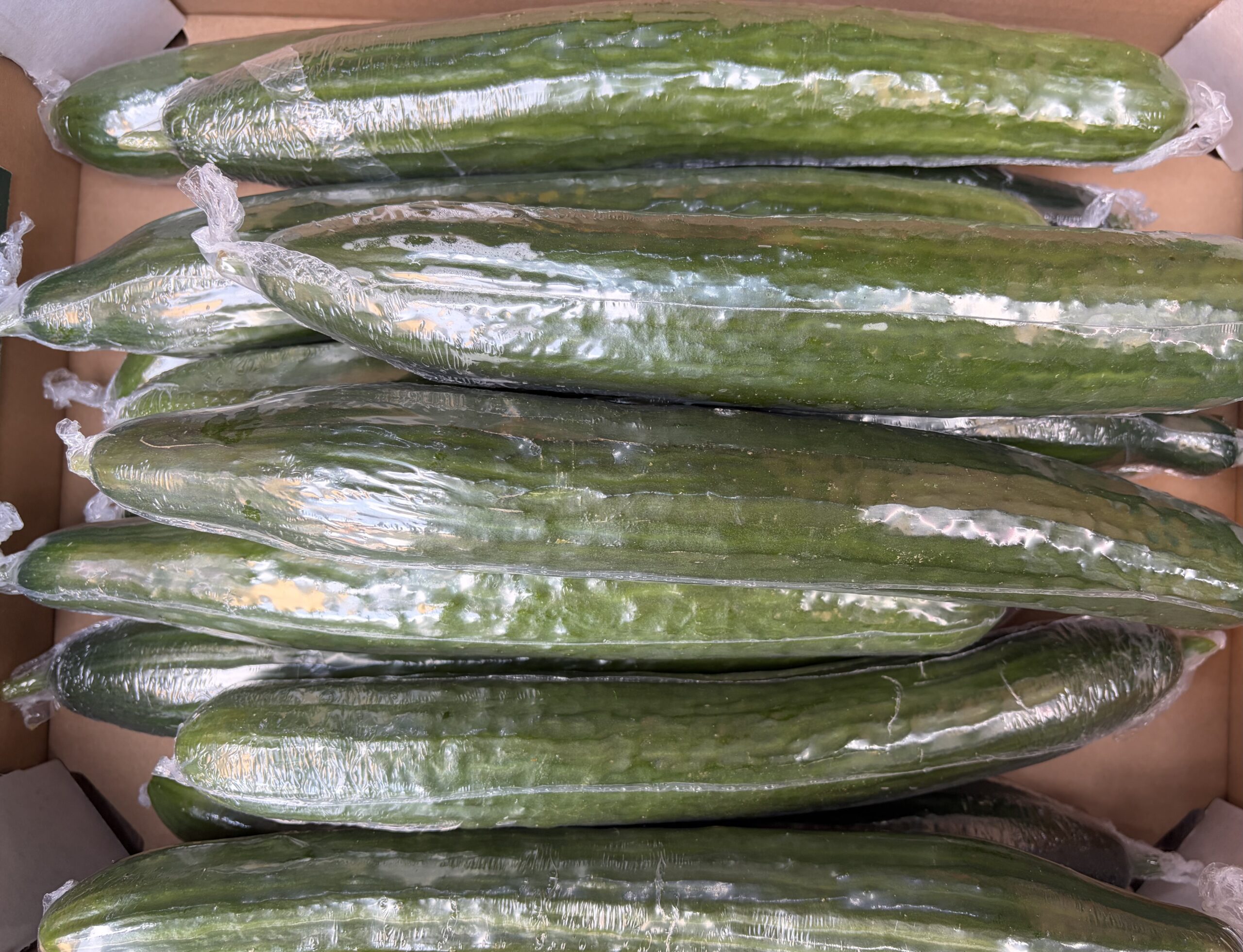 English Cucumber medium size - 1 pack