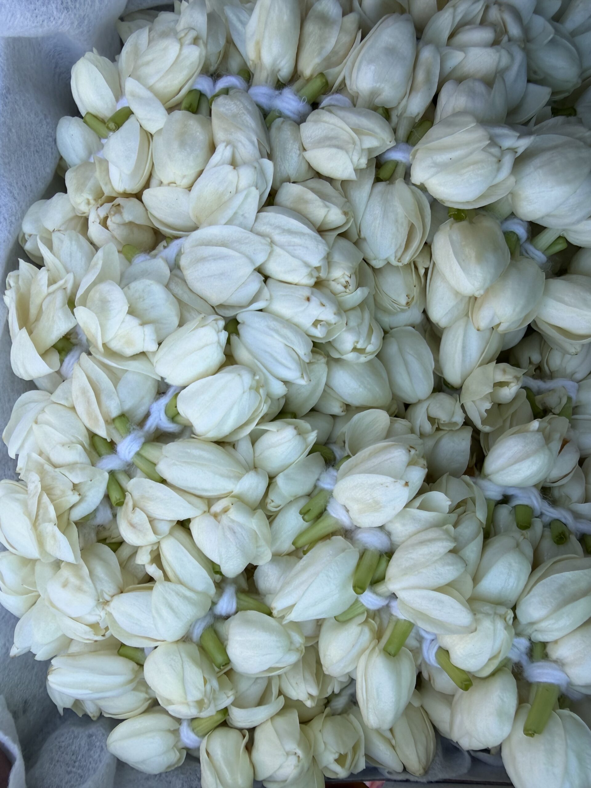 Jasmine flower garland (1 foot approx )