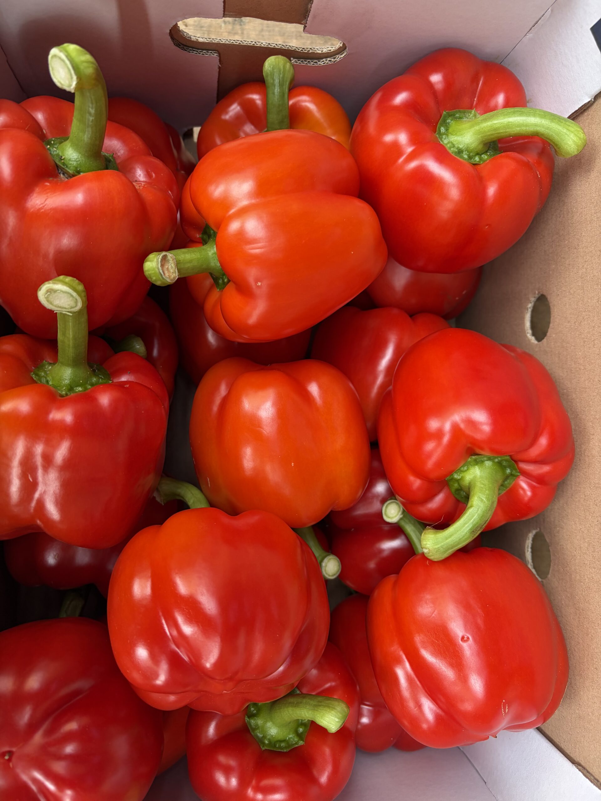 Red Pepper (Capsicum) 1 pack