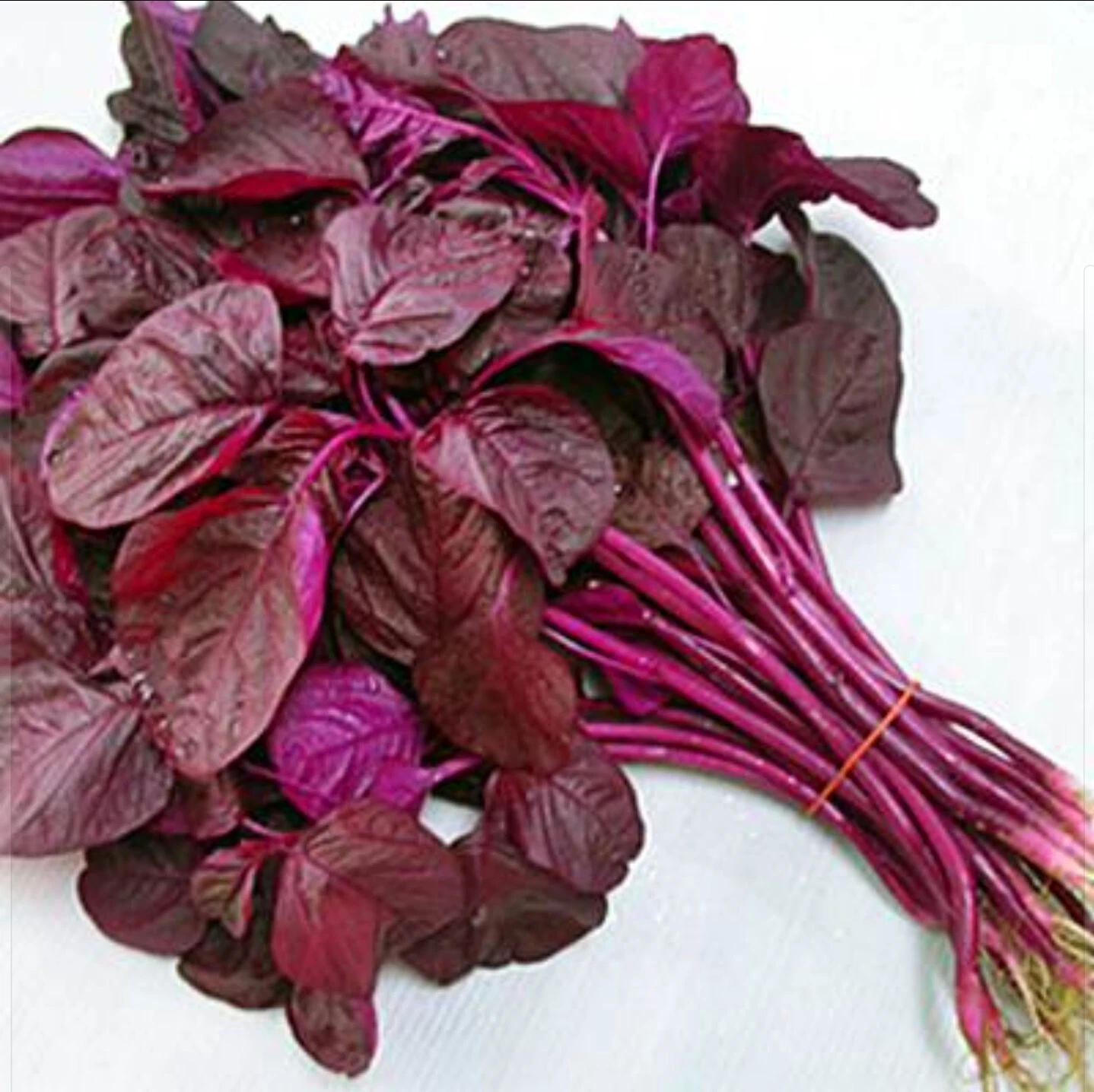 Red spinach bunch (lal shak) 1 pack