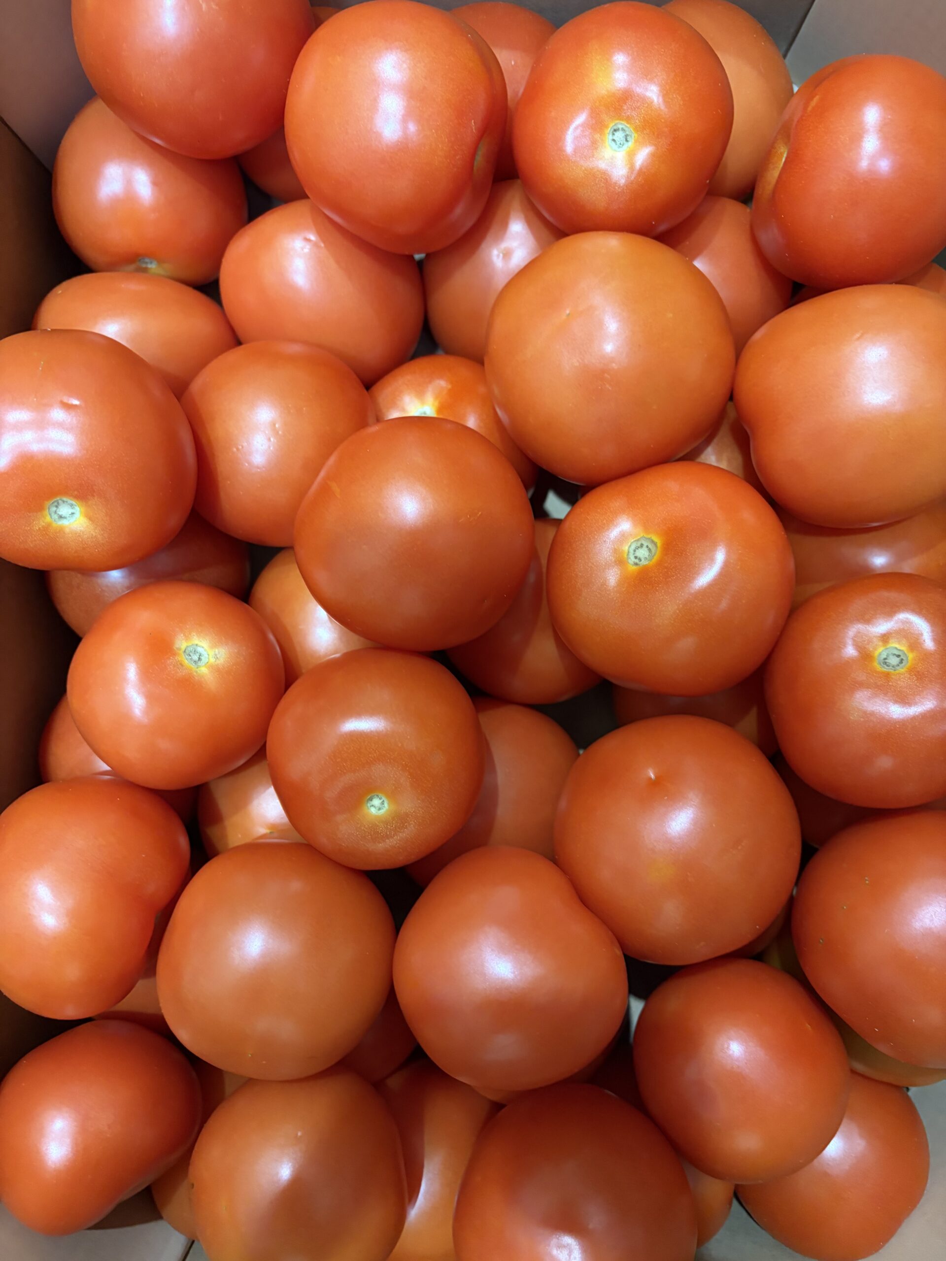 Loose Tomatoes 500g