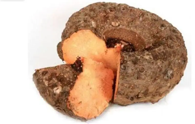 Fresh Elephant foot yam , Suran , Senaikilangu (250g -300g pack)