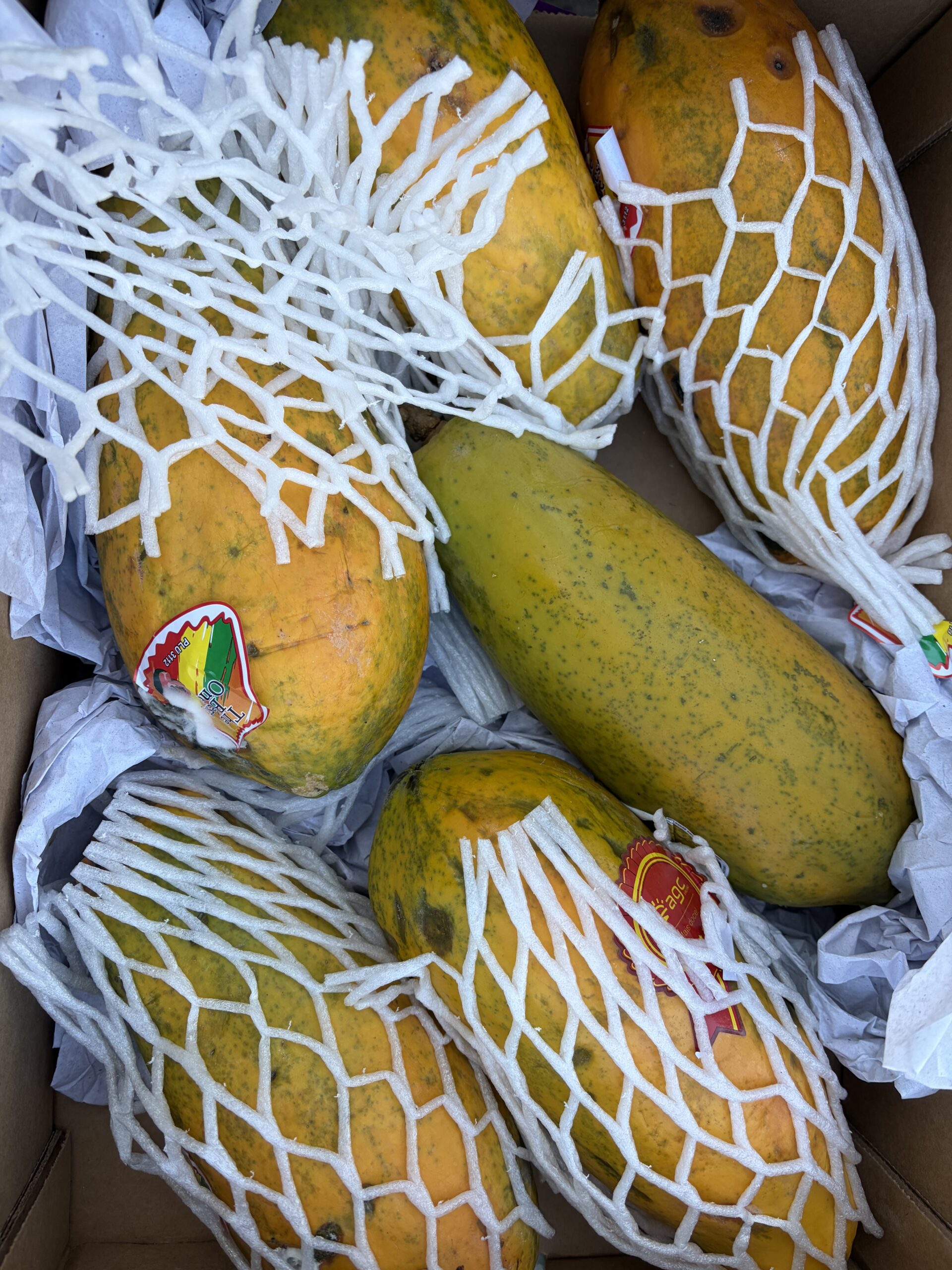Whole papaya medium size 1 pack